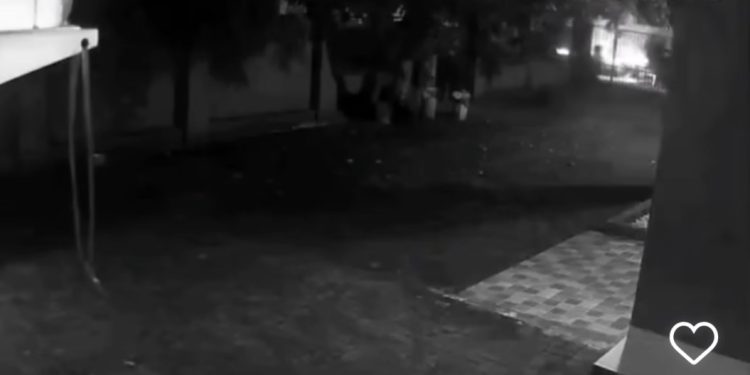 Begal Bersajam Kembali Beraksi di Tangsel, 4 Pelaku Rampas Motor Korban