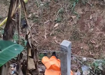 Polisi Identifikasi Temuan Tulang Tengkorak Manusia di Semak-Semak Tol BSD Serpong