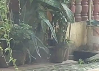 Sambungan Pipa Gas Bocor Picu Ledakan Keras di Serpong, Warga Resah
