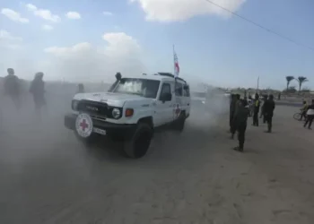 Tentara Israel Ungkap Hamas Memberinya Taurat dan Alat Ibadah selama Disandera