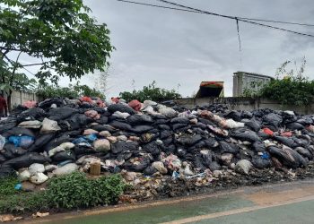 Bantaran Kali hingga Lahan BSD Jadi Sasaran Tumpukan Sampah di Tangsel
