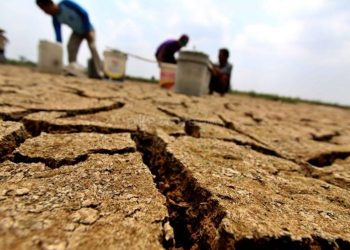 Kemarau 2026 Datang Lebih Awal, BMKG Wanti-wanti Risiko Kekeringan dan Karhutla