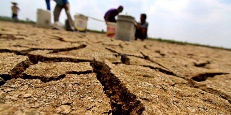 Kemarau 2026 Datang Lebih Awal, BMKG Wanti-wanti Risiko Kekeringan dan Karhutla