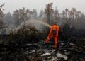Hotspot Kalsel Naik Jadi 44 Titik, Heli Water Bombing Dikirim dari Riau
