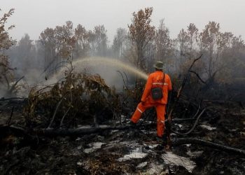 Hotspot Kalsel Naik Jadi 44 Titik, Heli Water Bombing Dikirim dari Riau