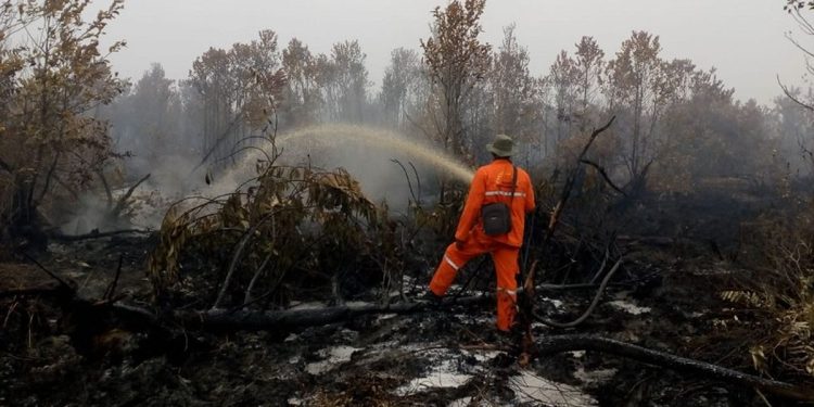 Hotspot Kalsel Naik Jadi 44 Titik, Heli Water Bombing Dikirim dari Riau