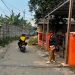 Disperkimta Tangsel Libatkan Warga Awasi Proyek Infrastruktur, Cegah Pembangunan Salah Titik