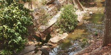 Ironi Pembangunan Turap Kali Ciater Tangsel, Puing Beton Dibuang ke Aliran Kali