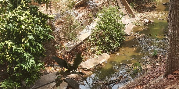 Ironi Pembangunan Turap Kali Ciater Tangsel, Puing Beton Dibuang ke Aliran Kali