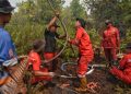 Ratusan Sumur Bor Disiapkan di Kalteng, Lawan Karhutla Sekaligus Atasi Krisis Air Bersih