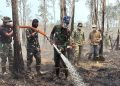 40 Hektare Way Kambas Masih Terbakar, Petugas Hadapi Medan Sulit