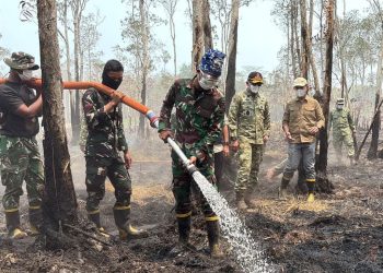 40 Hektare Way Kambas Masih Terbakar, Petugas Hadapi Medan Sulit