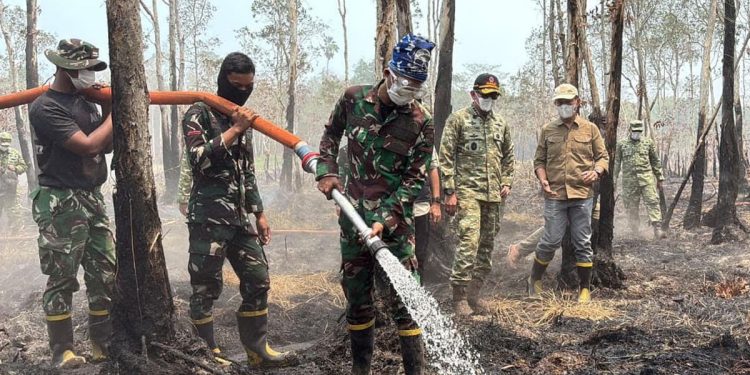 40 Hektare Way Kambas Masih Terbakar, Petugas Hadapi Medan Sulit
